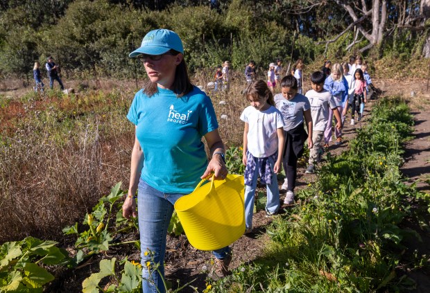 Sara Neale, a farm educator at the HEAL Project, takes a group of third graders at El Granada Elementary School on a field trip on Wednesday, Oct. 23, 2024, Half Moon Bay, Calif. (Karl Mondon/Bay Area News Group)