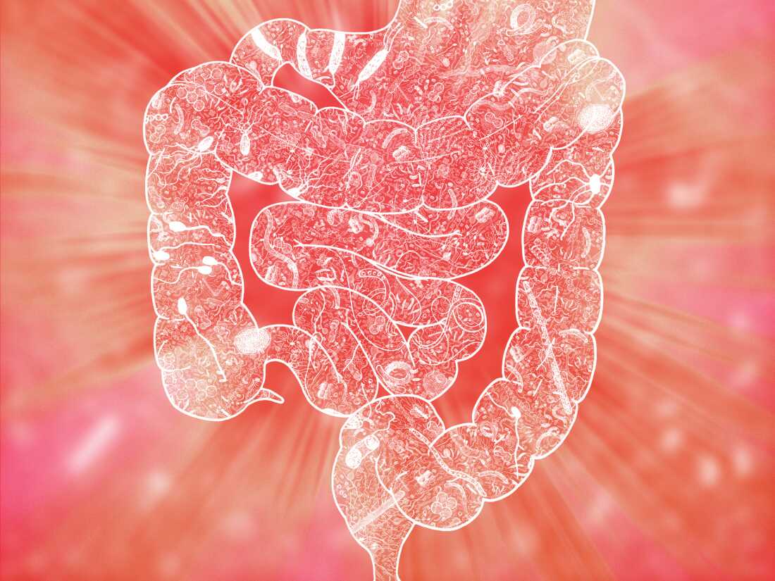 A diagram of the human microbiome. The bacteria in our gut can affect our mental health, research finds.