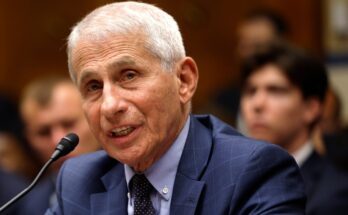 Cory Franklin: Science journalists failed to ask Dr. Anthony Fauci tough questions during this pandemic