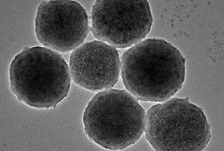 Microscopic image of nano magnetic robots that look like tiny circles.