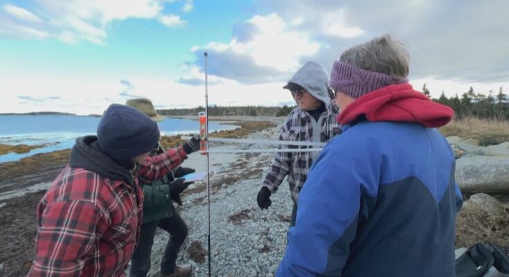 Citizen scientists make monthly measurements of Causeway beach on Sober Island using beach imagery